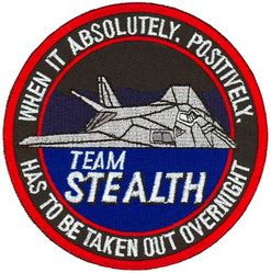 49th Fighter Wing F-117
