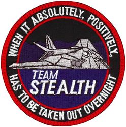 49th Fighter Wing F-117
