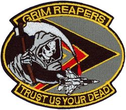 493d Fighter Squadron Morale
