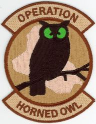 1st Special Missions Expeditionary Reconnaissance Flight and 4th Expeditionary Reconnaissance Flight
Keywords: desert