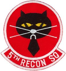 5th Reconnaissance Squadron 
Organized as 5 Aero Squadron on 5 May 1917. Redesignated as Squadron A, Souther Field, GA, on 15 Jul 1918. Demobilized on 11 Nov 1918. Reconstituted, and consolidated (1924) with 5 Aero Squadron, which was organized on 24 Oct 1919.  Redesignated as: 5 Squadron (Observation) on 14 Mar 1921; 5 Observation Squadron on 25 Jan 1923; 5 Bombardment Squadron on 1 Mar 1935; 5 Bombardment Squadron (Medium) on 6 Dec 1939; 5 Bombardment Squadron (Heavy) on 20 Nov 1940; 5 Bombardment Squadron, Very Heavy, on 28 Mar 1944.  Inactivated on 20 Oct 1948.  Redesignated as 5 Strategic Reconnaissance Squadron, Photographic, and activated, on 1 May 1949.  Redesignated as: 5 Bombardment Squadron, Heavy, on 1 Apr 1950; 5 Bombardment Squadron, Medium, on 2 Oct 1950.   Discontinued, and inactivated, on 25 Jun 1966.  Redesignated as 5 Strategic Reconnaissance Training Squadron on 12 Feb 1986. Activated on 1 Jul 1986.  Inactivated on 30 Jun 1990.  Redesignated as 5 Reconnaissance Squadron on 21 Sep 1994. Activated on 1 Oct 1994.
