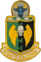 5th Bombardment Wing, Heavy
Translation: KIAI O KA LEWA = Guardians of the Upper Realms
