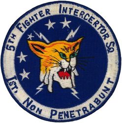 5th Fighter-Interceptor Squadron
