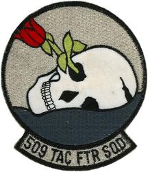 509th Tactical Fighter Squadron
