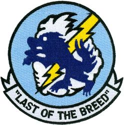 524th Fighter Squadron Last F-111 Fighter Squadron
