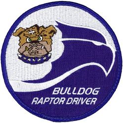 525th Fighter Squadron F-22 Pilot
