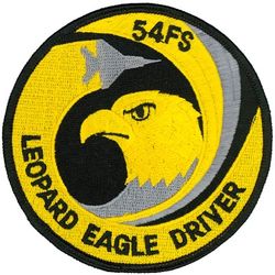 54th Fighter Squadron F-15 Pilot
