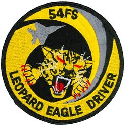 54th Fighter Squadron F-15 Pilot
