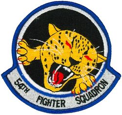 54th Fighter Squadron
