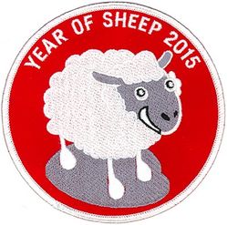 55th Operations Group RC-135S Cobra Ball Morale
