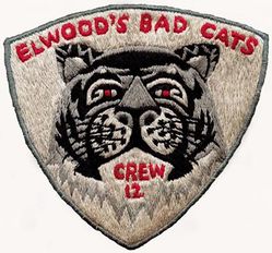 553d Reconnaissance Wing Crew 12
Third crew 12 
