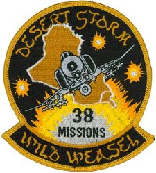 561st Tactical Fighter Squadron F-4G 38 Missions Operation DESERT STORM 1991

