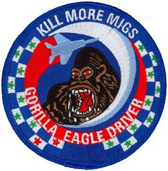 58th Fighter Squadron F-15 Pilot
