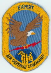 Air Defense Command Expert
