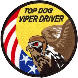 61st Fighter Squadron F-16 Pilot Swirl
