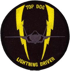 61st Fighter Squadron F-35 Pilot
