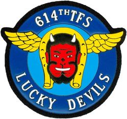 614th Tactical Fighter Squadron 
