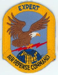 Air Defense Command Expert
