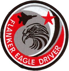 65th Aggressor Squadron F-15 Pilot
