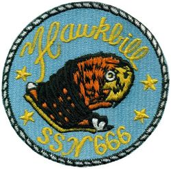 SSN-666 Hawkbill
Namesake. Misspelling carried over from previous ship of the name (USS Hawkbill (SS-366) of "hawksbill", a large sea turtle
Ordered. 18 Dec 1964
Builder. Mare Island Naval Shipyard, Vallejo, California
Laid down. 12 Sep 1966
Launched. 12 Apr 1969
Commissioned. 4 Feb 1971
Decommissioned. 15 Mar 2000
Stricken	. 15 Mar 2000
Fate. Scrapping via Ship and Submarine Recycling Program begun 15 Mar 2000, completed 1 Dec 2000
Class and type. Sturgeon-class attack submarine
Displacement:	
4,002 long tons (4,066 t) light
4,294 long tons (4,363 t) full
292 long tons (297 t) dead
Length. 292 ft (89 m)
Beam. 32 ft (9.8 m)
Draft. 29 ft (8.8 m)
Installed power. 15,000 shp (11,000 kW)
Propulsion. One S5W nuclear reactor, two steam turbines, one screw
Speed:	
15 knots (28 km/h; 17 mph) surfaced
25 knots (46 km/h; 29 mph) submerged
Test depth. 1,300 ft (400 m)
Complement. 109 (14 officers, 95 enlisted men)
Armament. 4 × 21 in (533 mm) torpedo tubes

