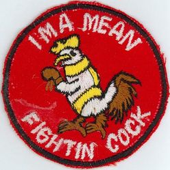 67th Tactical Fighter Squadron Morale
