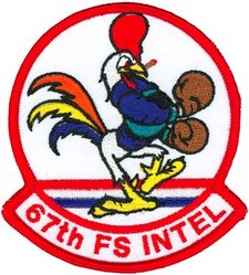 67th Fighter Squadron Intelligence Flight
