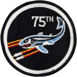 75th Fighter-Interceptor Squadron 
Possibly TFS.
