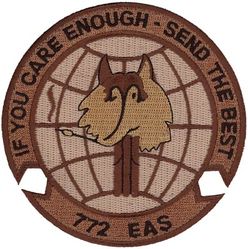 772d Expeditionary Airlift Squadron 
Keywords: desert