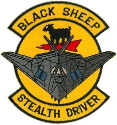 8th Fighter Squadron F-117 Pilot
