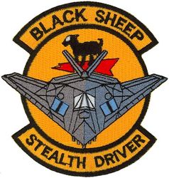 8th Fighter Squadron F-117 Pilot
