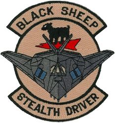 8th Fighter Squadron F-117 Pilot
Keywords: desert