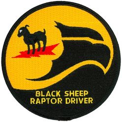 8th Fighter Squadron F-22 Pilot
