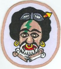 80th Tactical Fighter Squadron 
