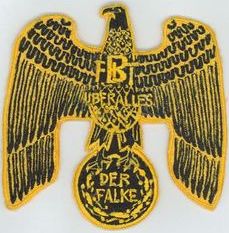 81st Tactical Fighter Squadron B Flight
