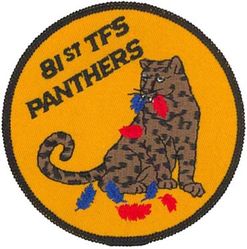 81st Tactical Fighter Squadron Morale
