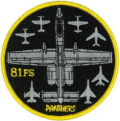 81st Fighter Squadron A-10
