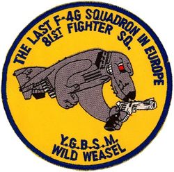 81st Fighter Squadron F-4G
Fake
