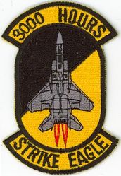 McDonnell Douglas F-15E Strike Eagle 3000 Flight Hours
