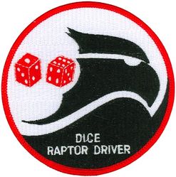 90th Fighter Squadron F-22 Pilot
