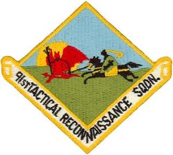 91st Tactical Reconnaissance Squadron 
