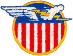 91st Tactical Fighter Squadron 
