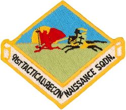 91st Tactical Reconnaissance Squadron 
