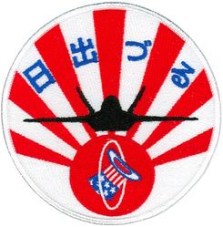 94th Expeditionary Fighter Squadron Theater Security Package Deployment 2009
1st deployment
Japanese made

