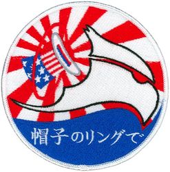 94th Expeditionary Fighter Squadron Theater Security Package Deployment 2009
2nd Deployment
Japanese made
