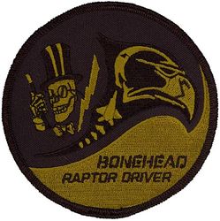 95th Expeditionary Fighter Squadron F-22 Pilot
Keywords: subdued