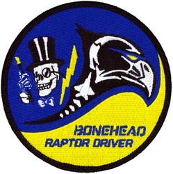 95th Fighter Squadron F-22 Pilot
