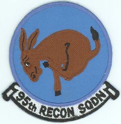 95th Reconnaissance Squadron
