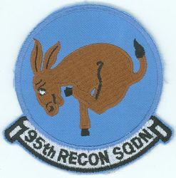 95th Reconnaissance Squadron
