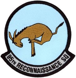 95th Reconnaissance Squadron
