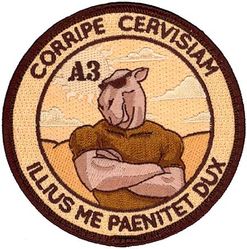 9th Air Force A3 USAFCENT Operations and Exercises
Keywords: Desert